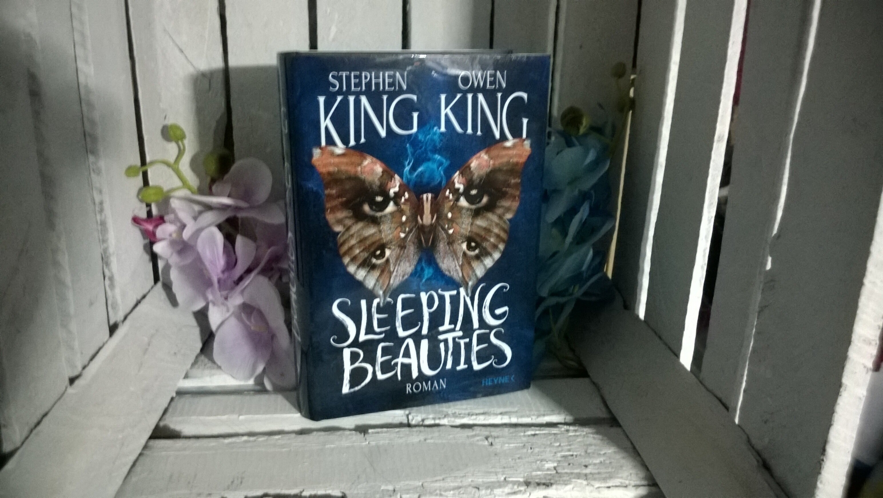 Sleeping Beauties von Stephan King